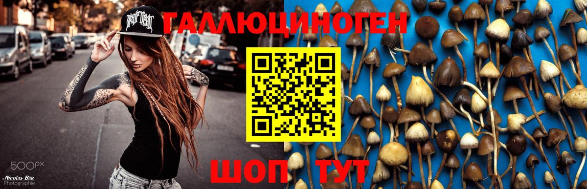 Архангельск  Псилоцибиновые грибы Cubensis  даркнет сайт  Вход с VPN 