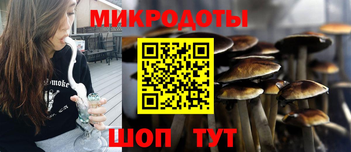 Галлюциногенные грибы MAGIC MUSHROOMS Архангельск